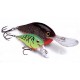 DT  RAPALA  