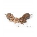 Preston In-Line Sticky Feeder – Large Preston In-Line Sticky Feeder – Large