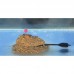 Haldorado 4s Method Pellet Mix Toamna